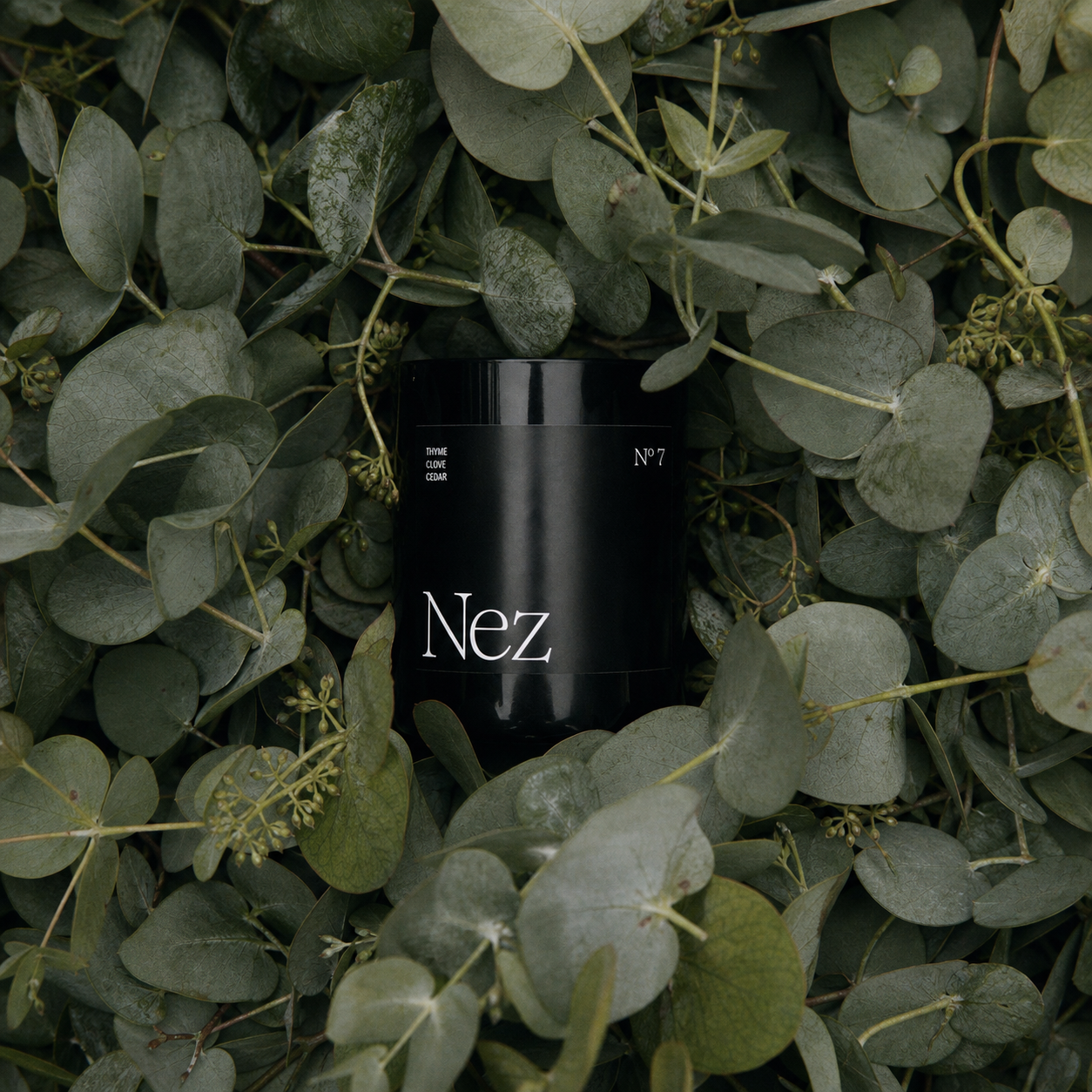 Nº 7 EUCALYPTUS, SPICES & CEDAR